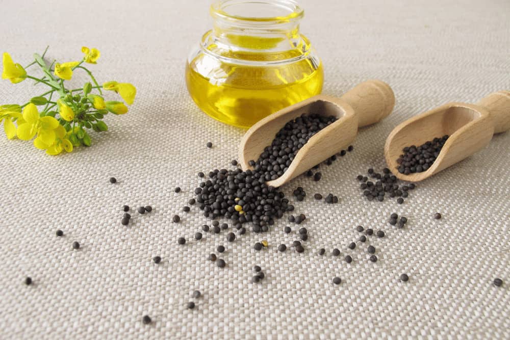 Ist Rapsöl gesund