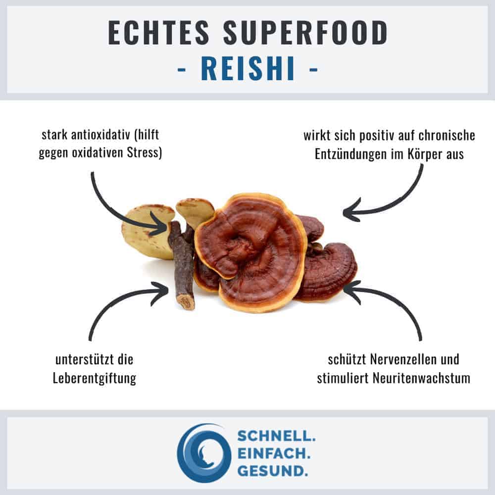 Infographik zu Reishi