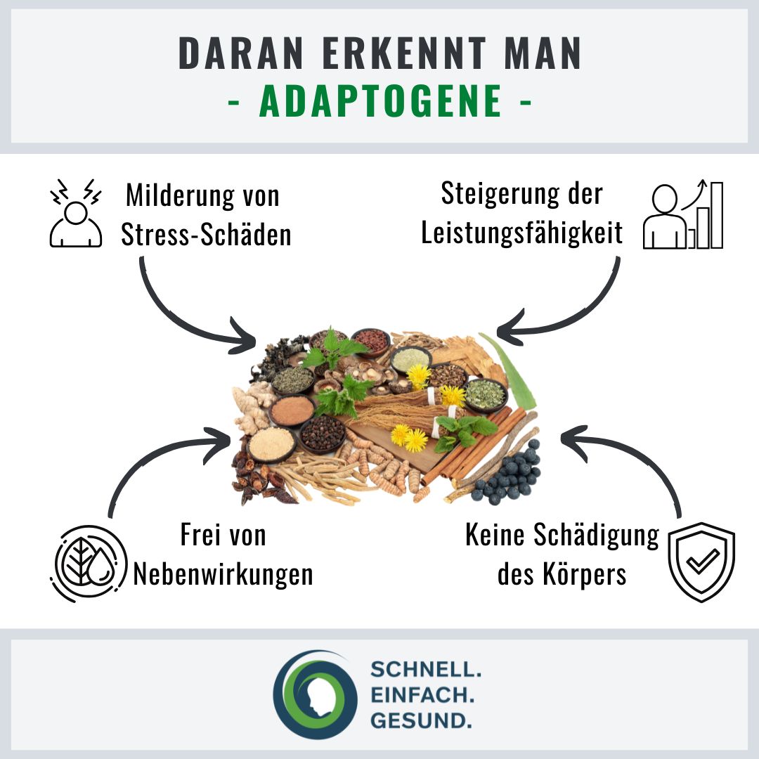 Infotraphik zu Adaptogenen