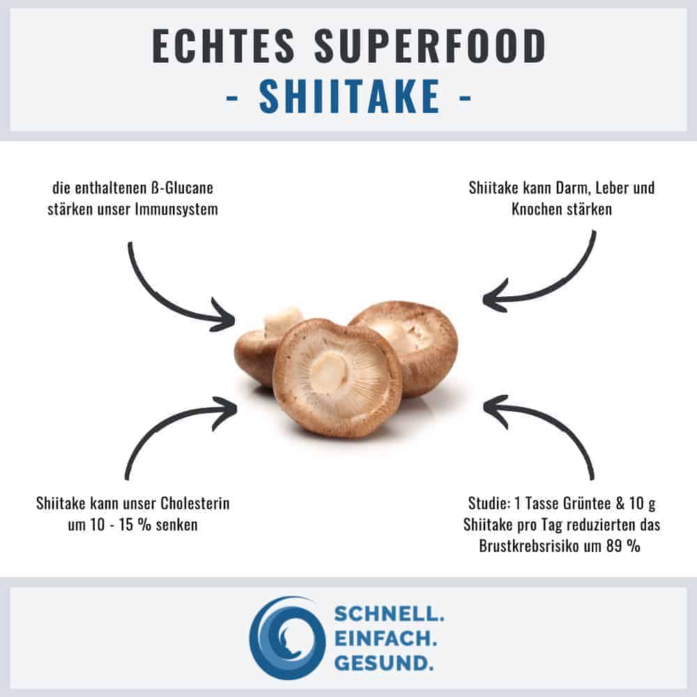 Infographik zu Shiitake