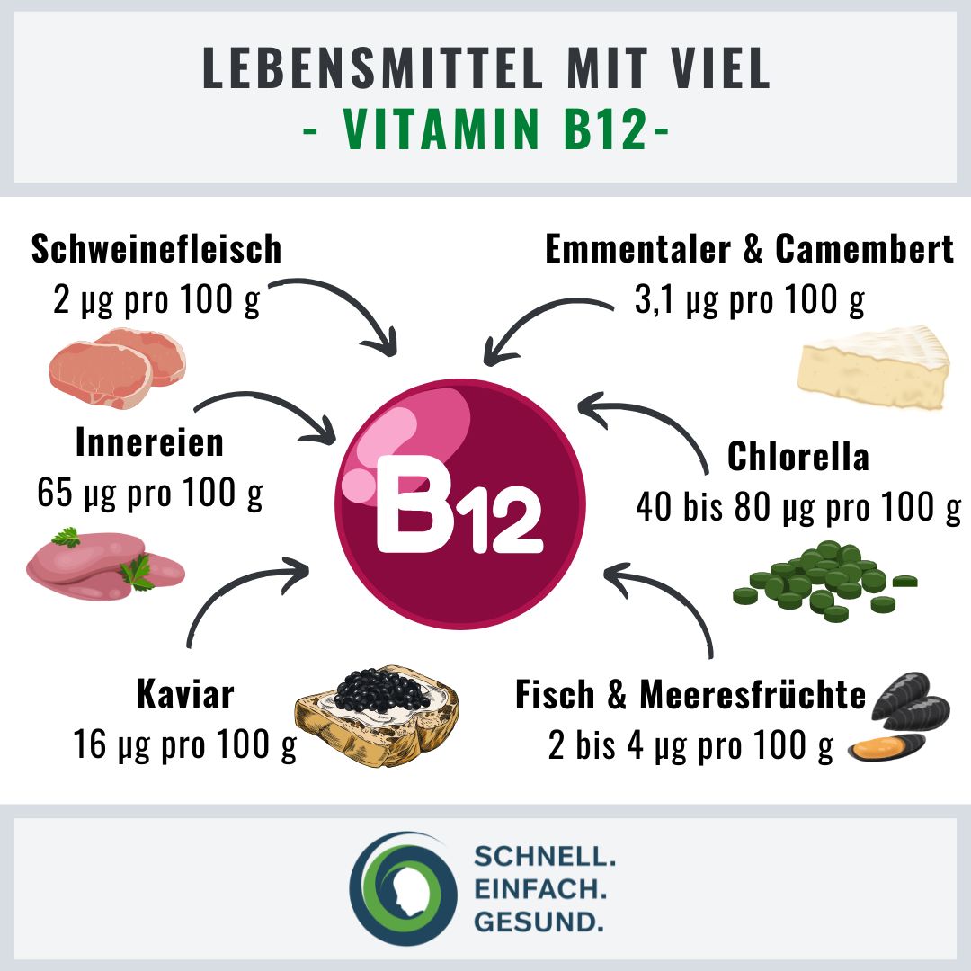 Lebensmittel mit viel Vitamin B12 Infographik