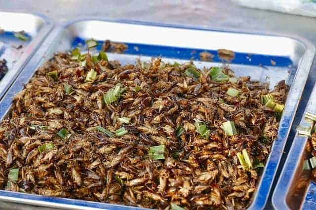 Frittierte Insekten in Aluschale
