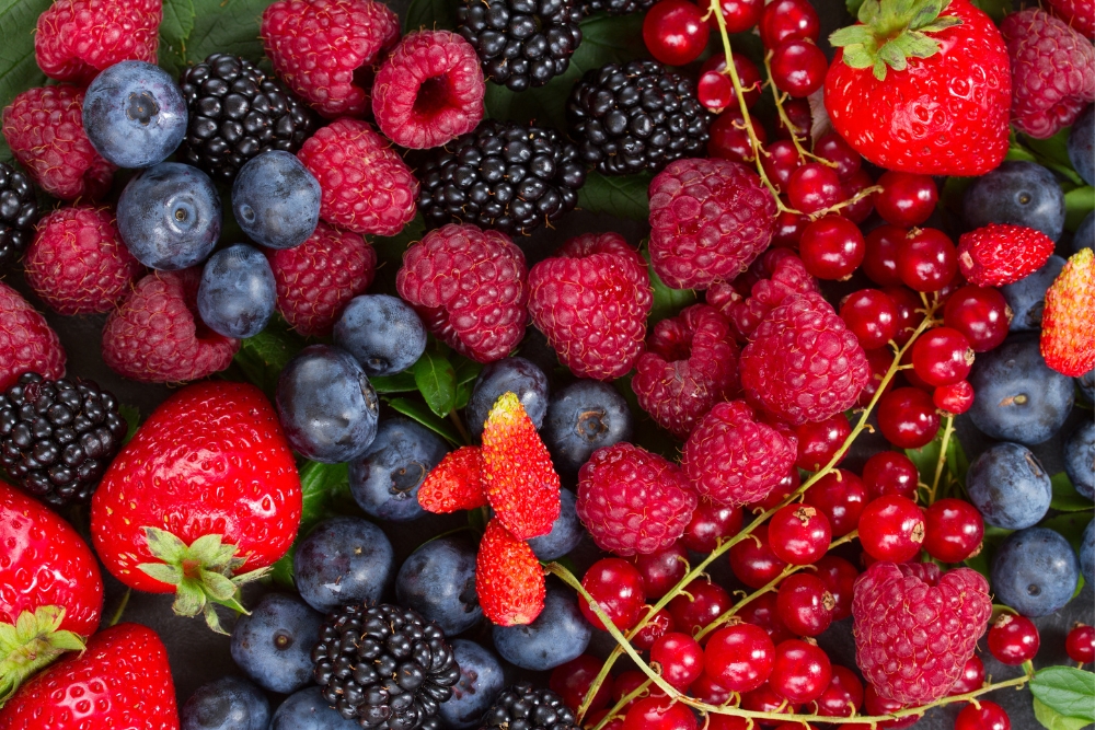Beeren – so gesund sind die Süßigkeiten von Mutter Natur!