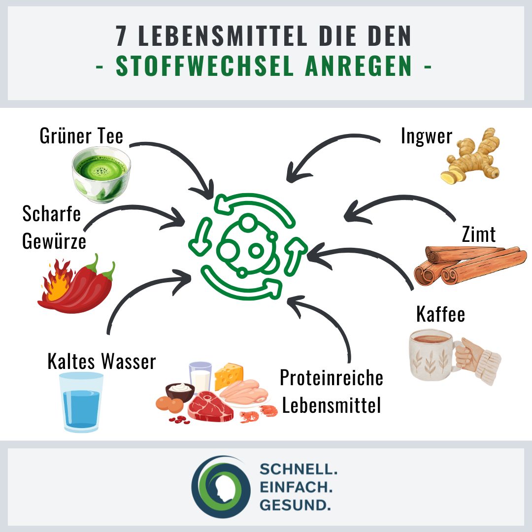 Lebensmittel die den Stoffwechsel anregen Infographik