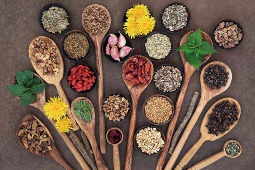 Superfoods auf Holzlöffeln arrangiert