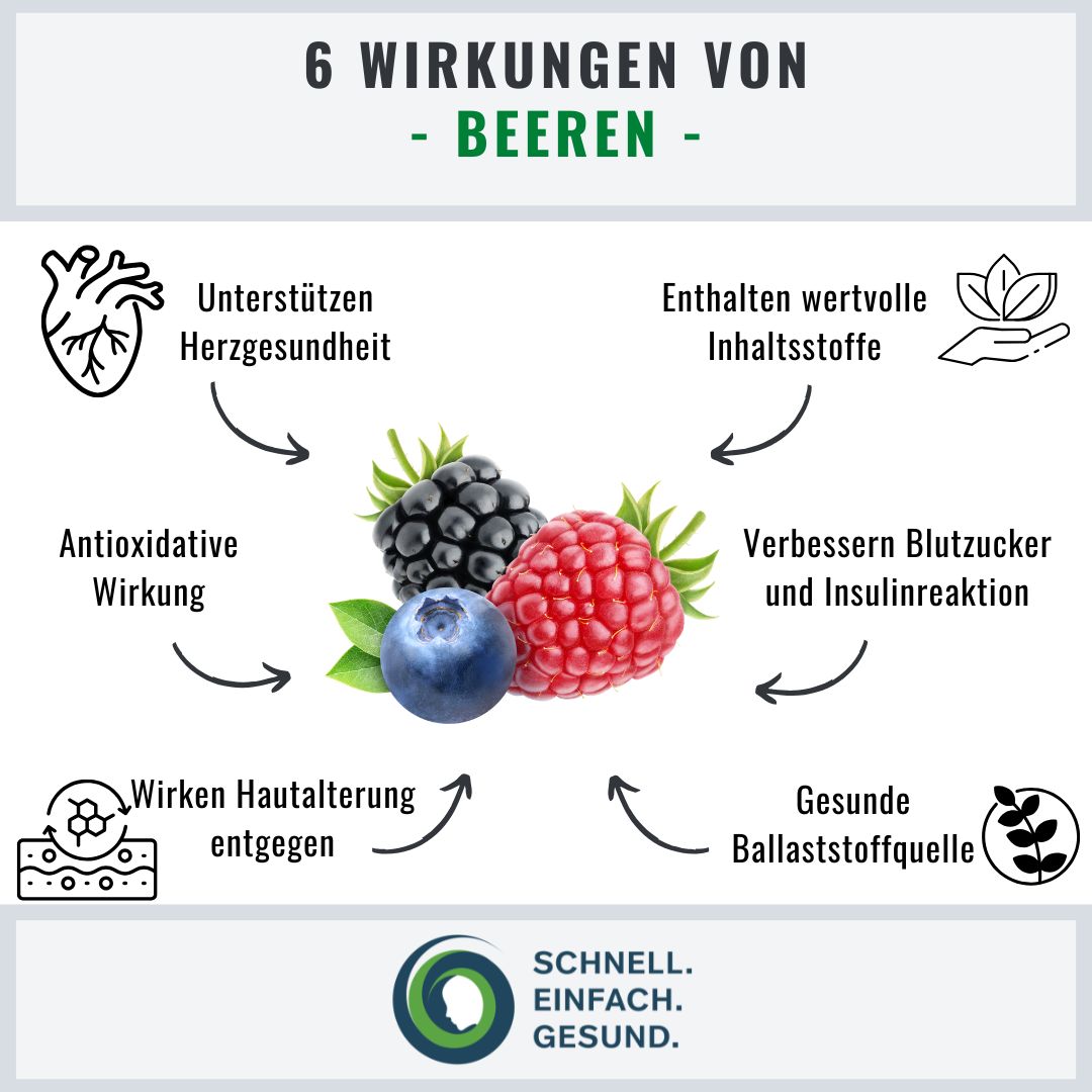 So gesund sind Beeren Infographik