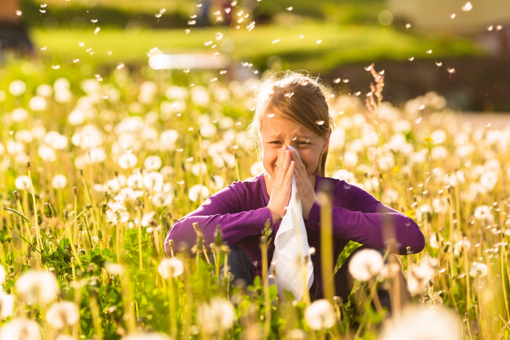 Was hilft bei Heuschnupfen? 10 Tipps Was hilft bei Heuschnupfen? 10 Tipps