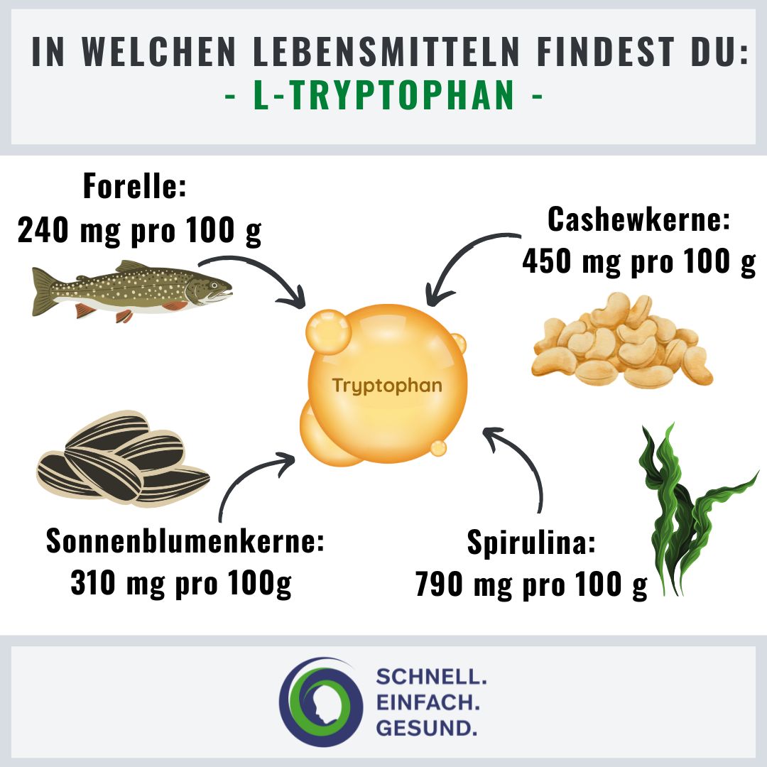 Infographik zu L-Tryptophan