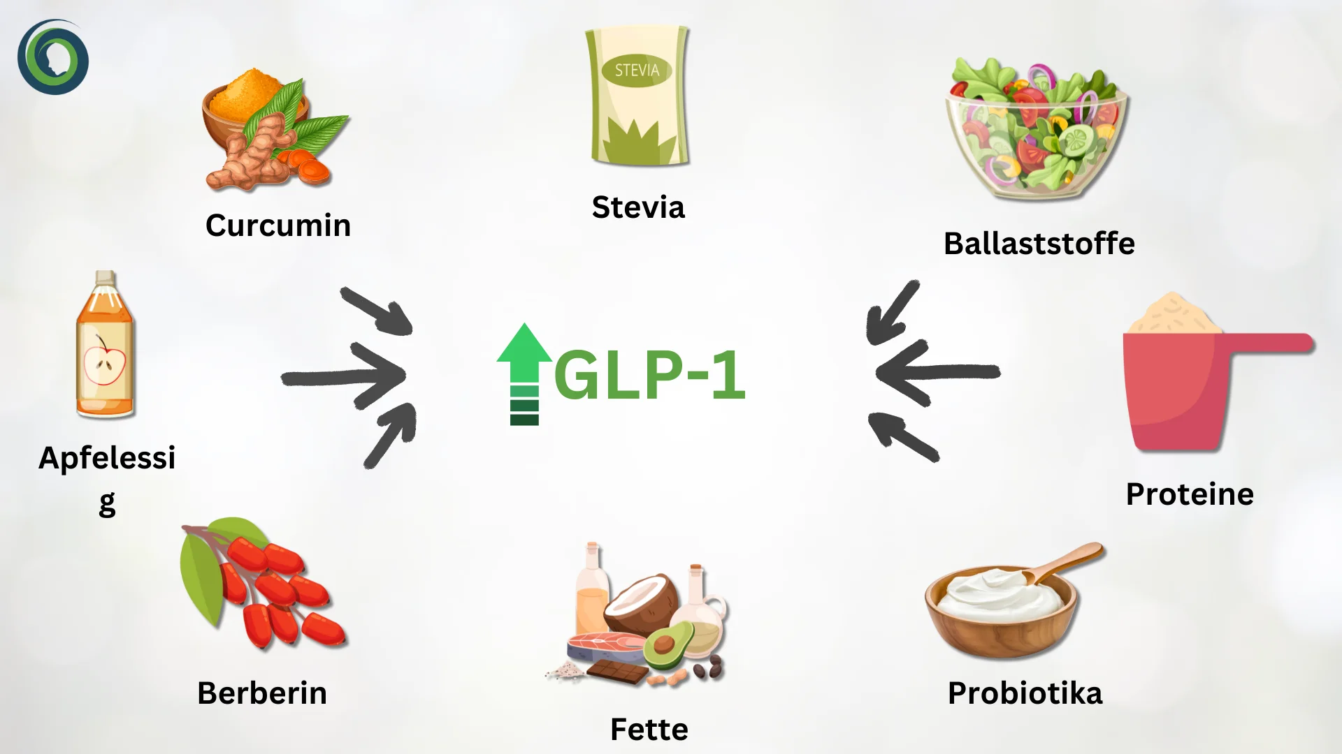 GLP1 Schaubild