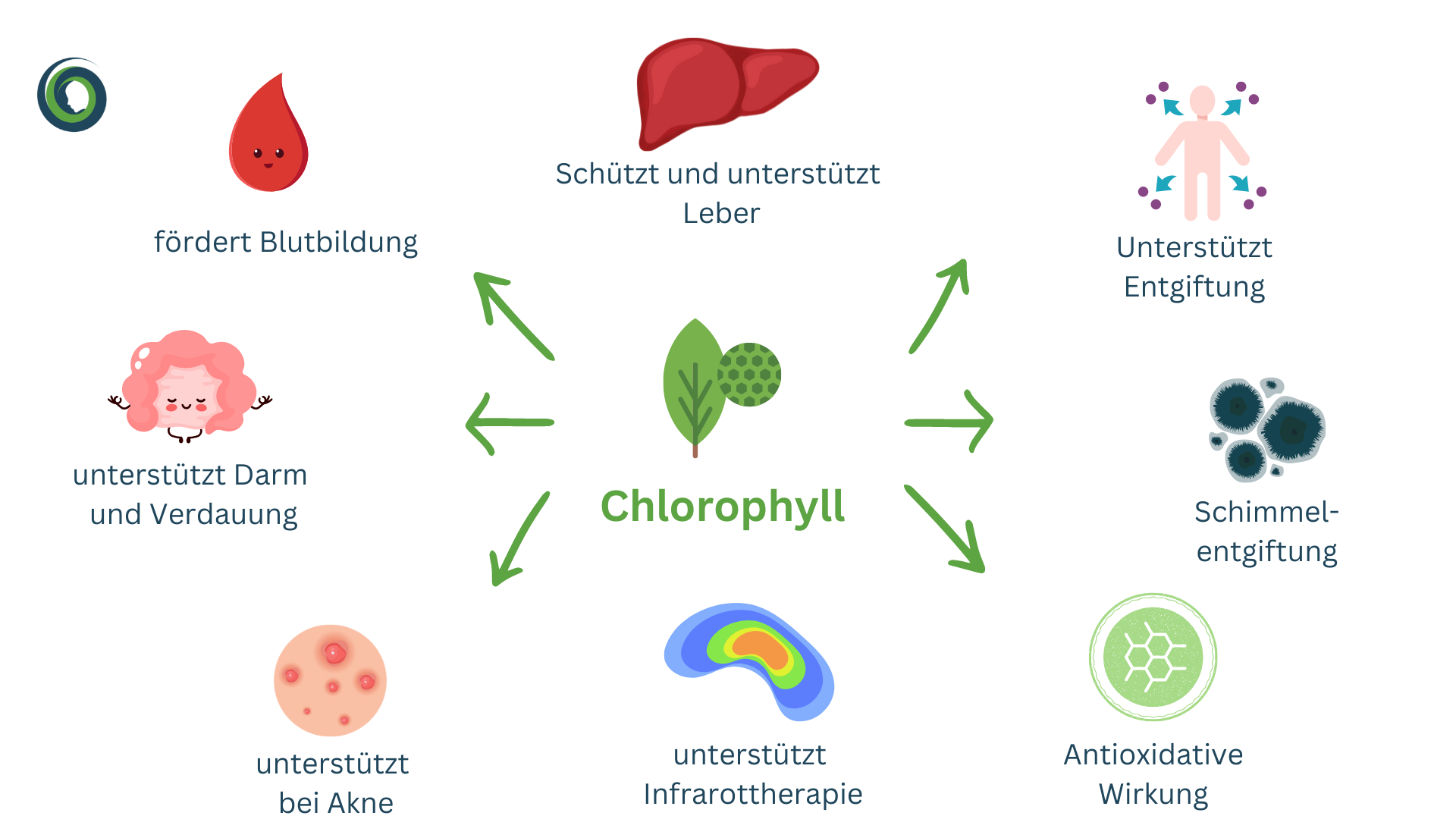 Chlorophyll Wirkungen Bild