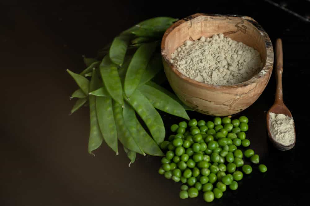 vegan Erbsenprotein Fleischersatz