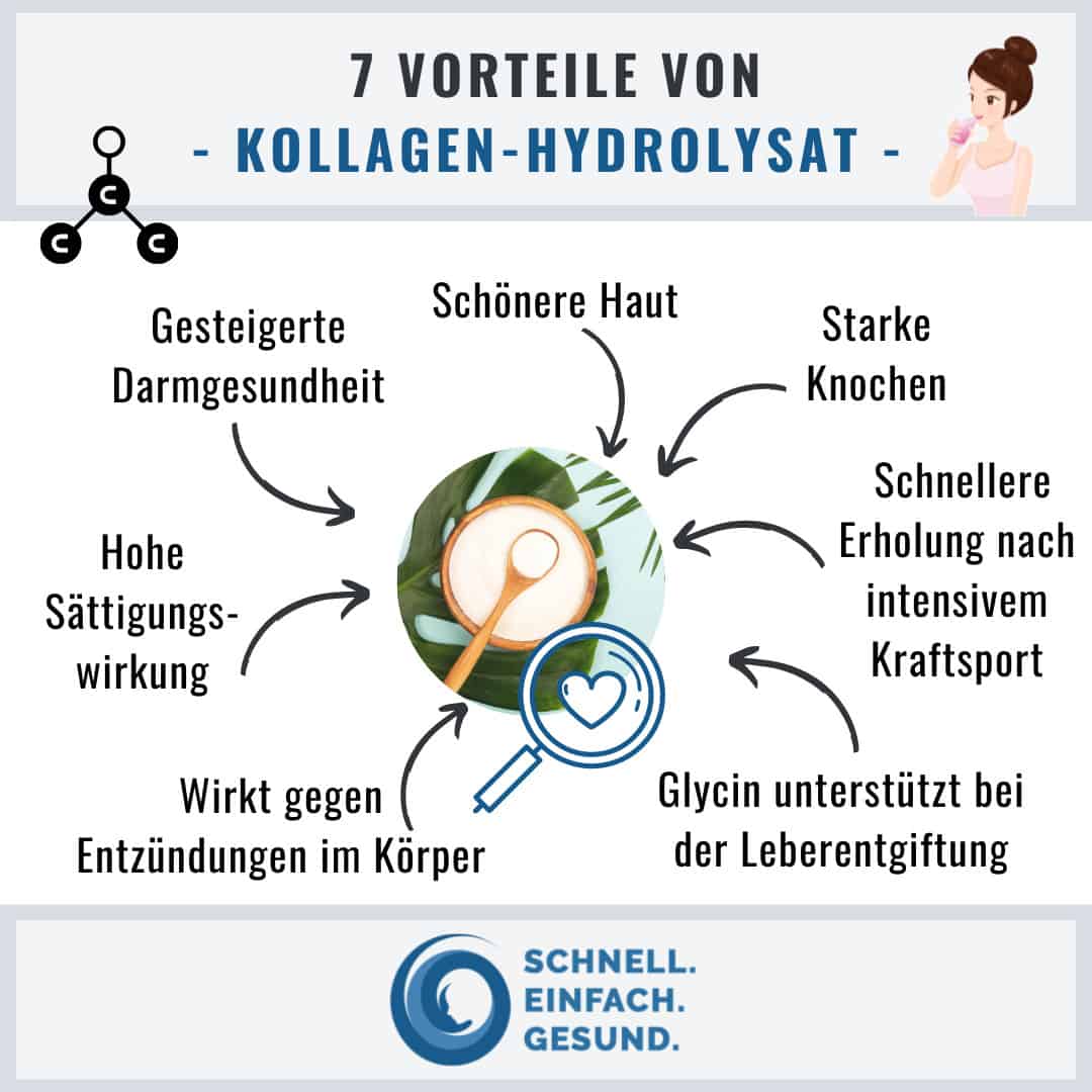 Vorteile von Kollagen-Hydrolysat Infographik