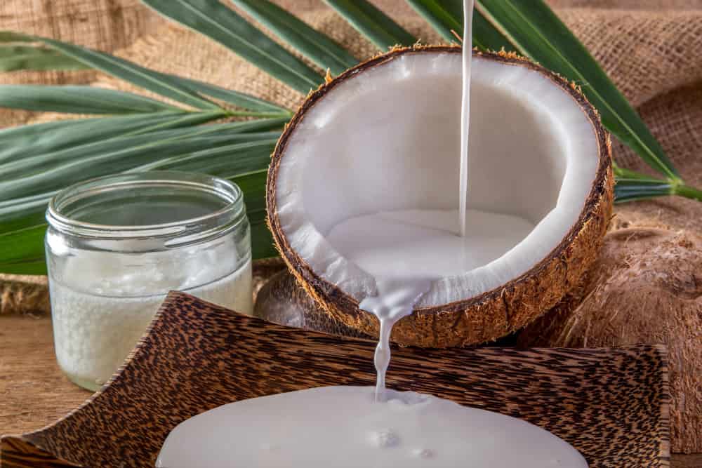 Ist_Kokos&ouml;l_gesund_Milch