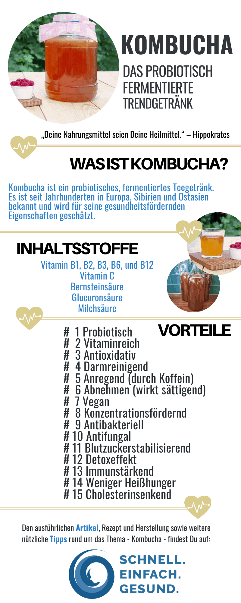 Infografik Kombucha