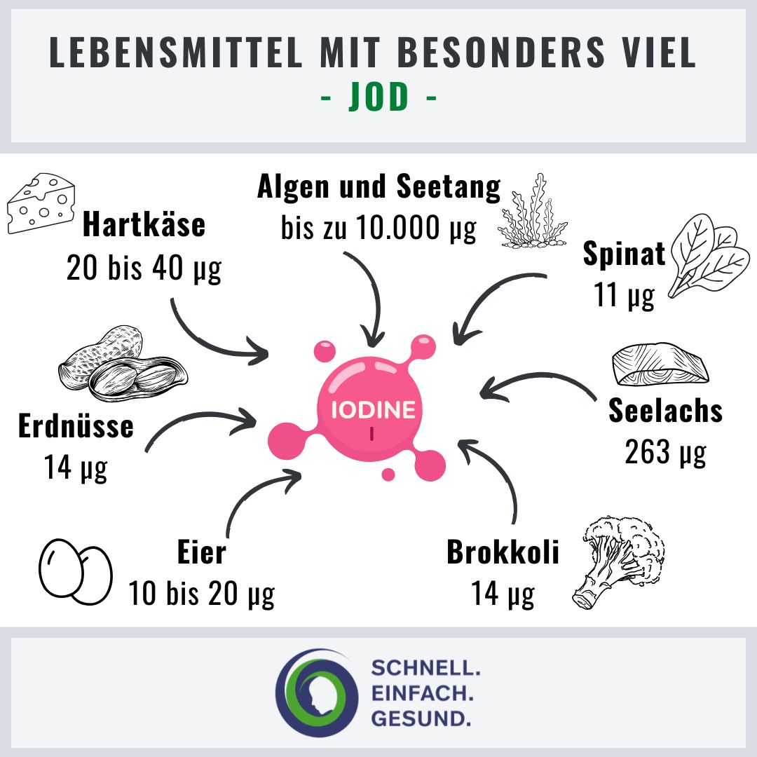 In welchem Lebensmittel steckt viel Jod Infographik