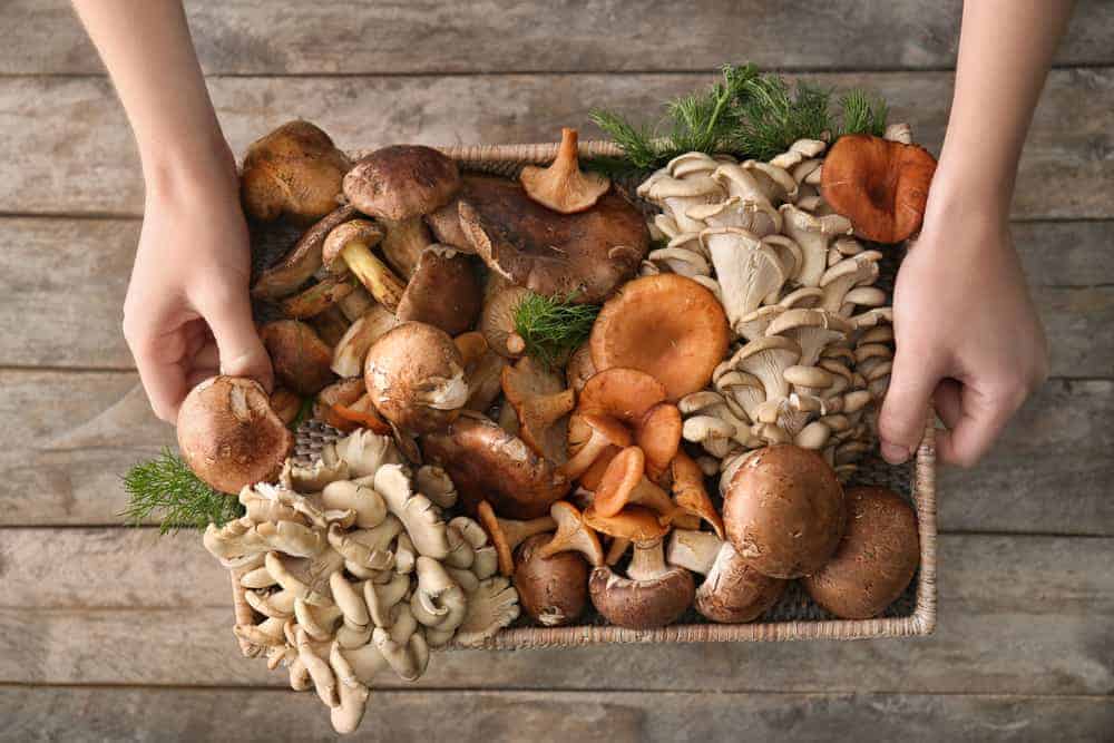 Abnehmen mit Vitalpilzen Frau mit Körbchen mit Pilzen in der Hand