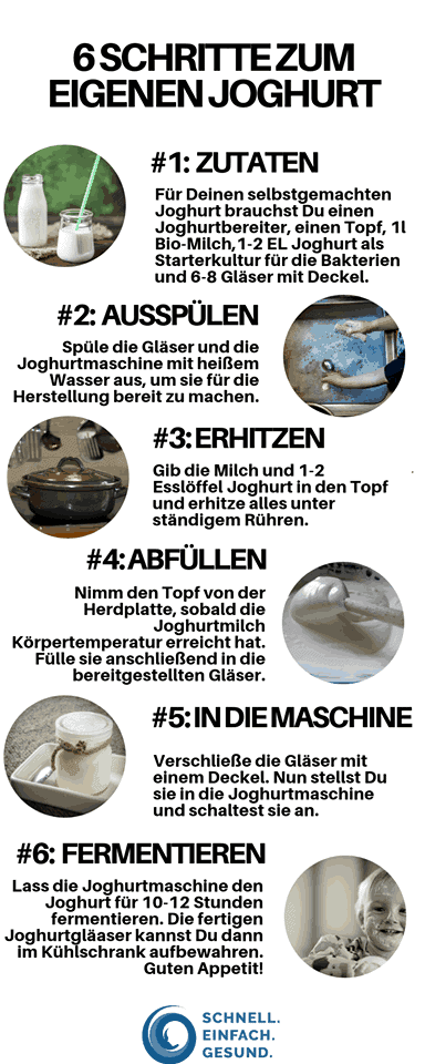 Anleitung mit sechs Schritten zur Joghurt-Herstellung als Infografik