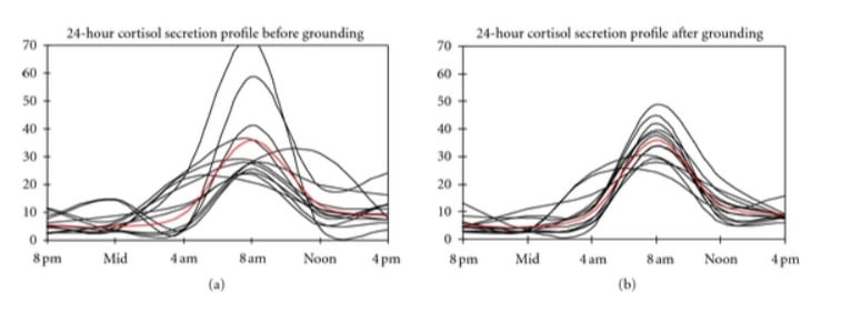 Erdung Studie Cortisol