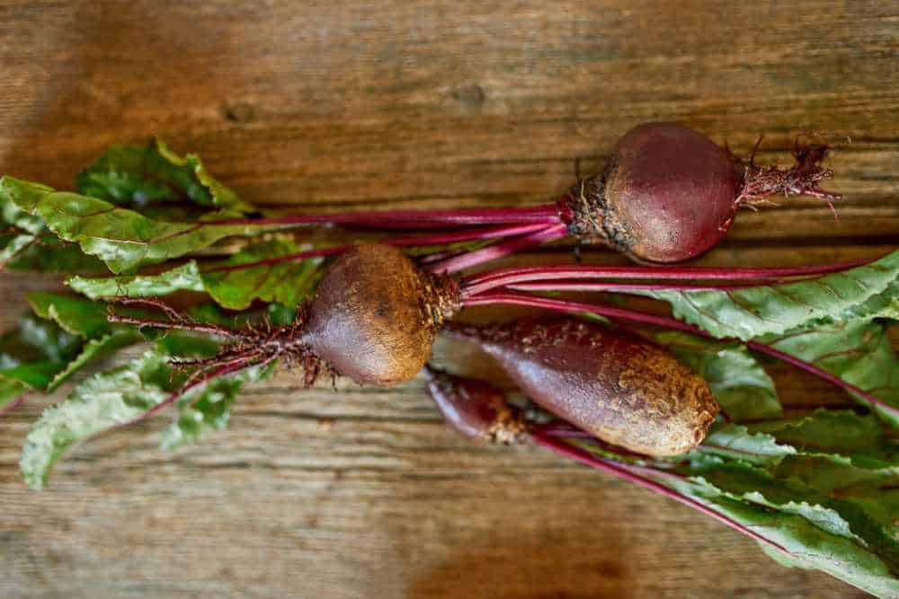 Beet Rote Rote Beete „en papillote“