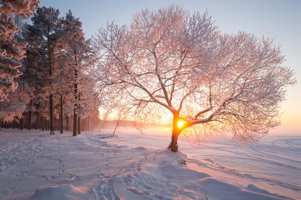 Winterlandschaft