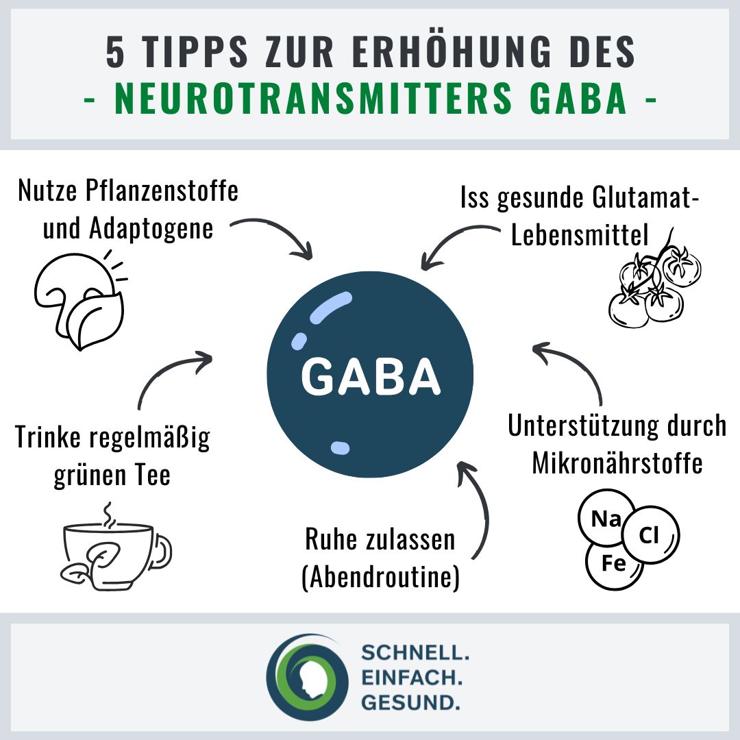 Gaba natürlich erhöhen Infographik