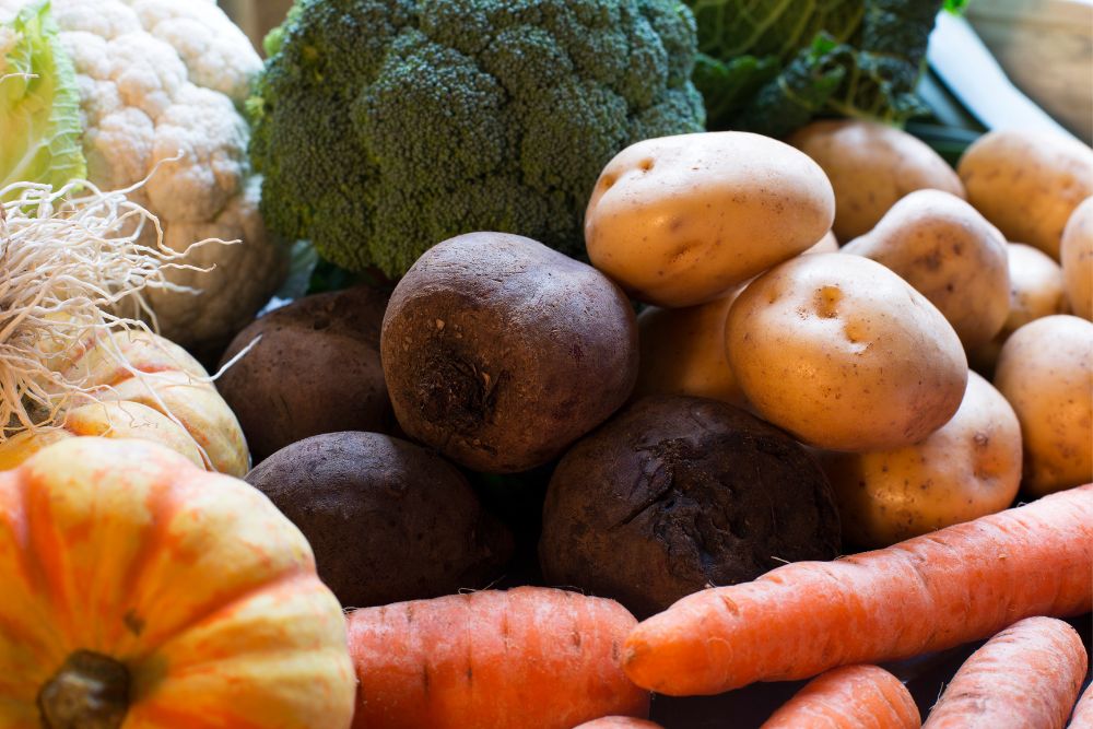 Verschiedene Gem&uuml;sesorten, darunter K&uuml;rbis, Brokkoli, M&ouml;hren, Kartoffeln und Rote Beete