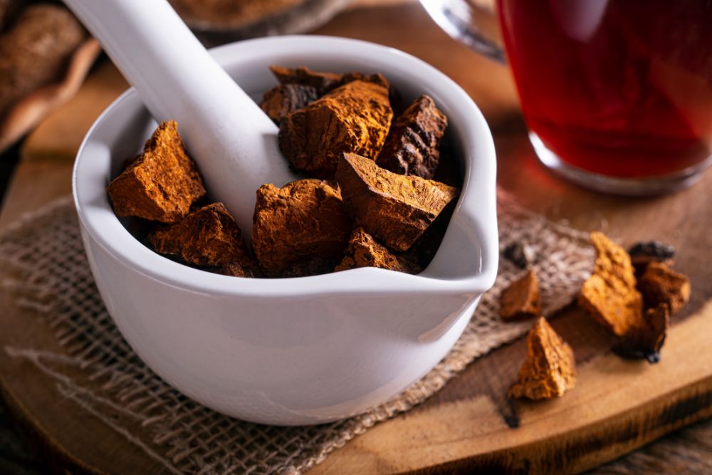 Chaga-Brocken in einer Sch&uuml;ssel