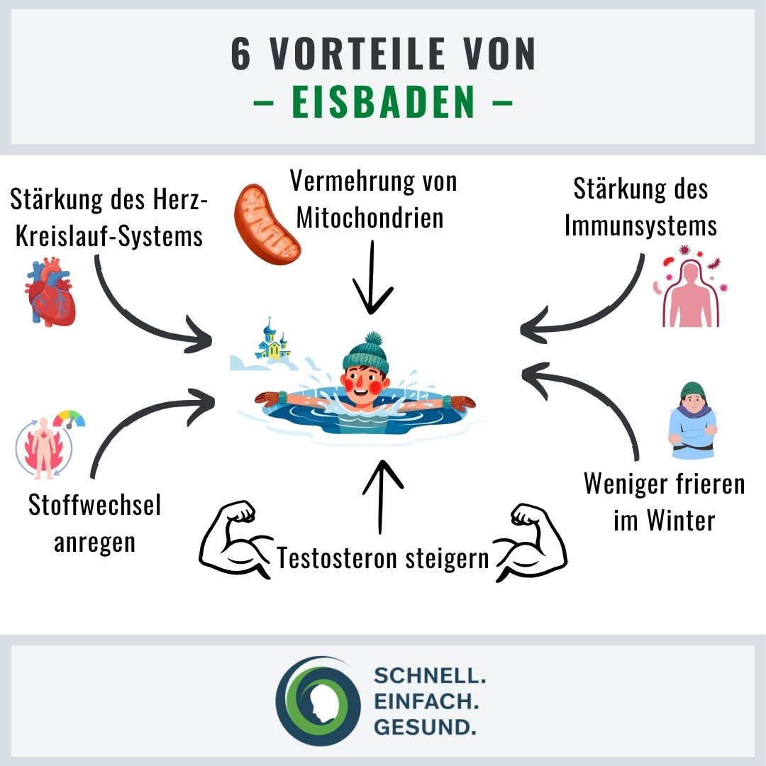 Verblüffende Vorteile vom Eisbaden Infographik