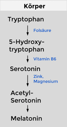 Tryptophan-Stoffwechsel