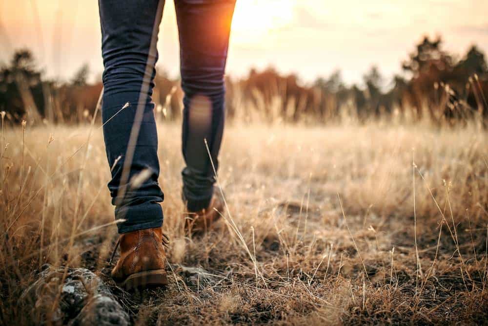 Wandern