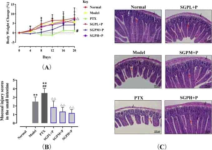 Reishi Gut Barrier