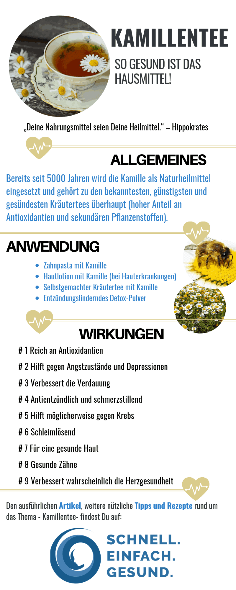 Kamillentee Vorteile für die Gesundheit Infographik