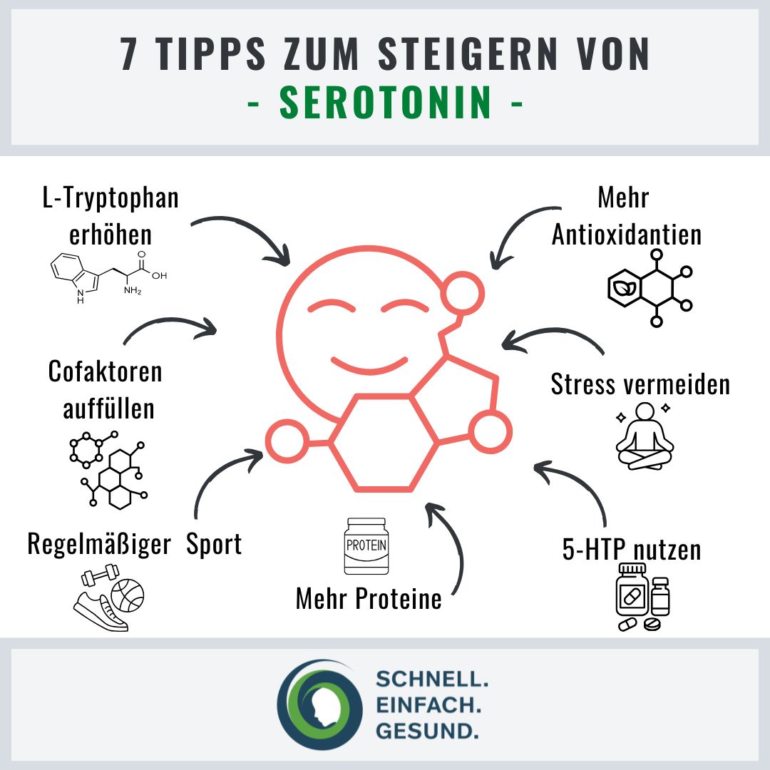Tipps um Serotonin zu steigern Infographik