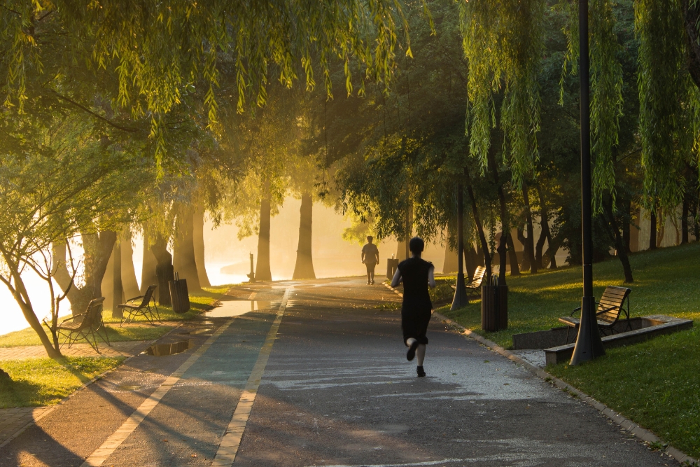 Zwei Personen joggen bei Sonnenuntergang durch einen Park