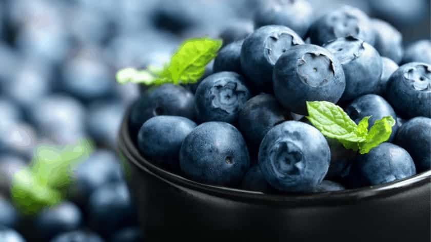 Blaubeeren ORAC