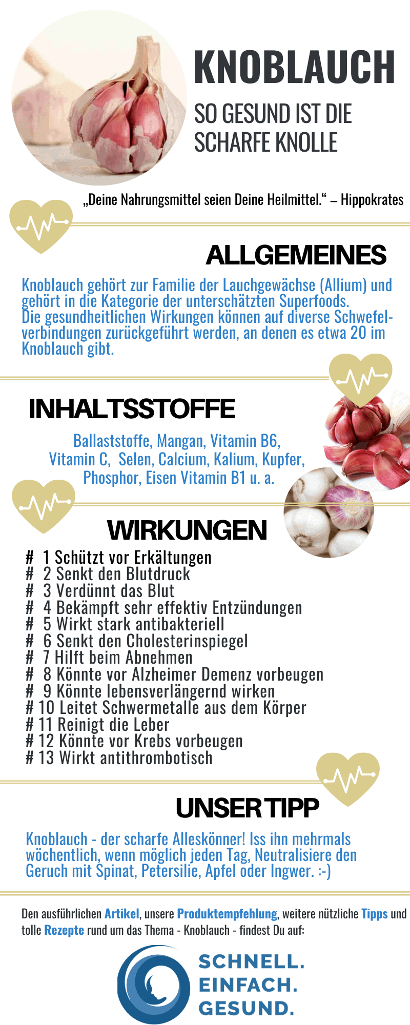 Infografik zu Gesundheitsvorteilen von Knoblauch
