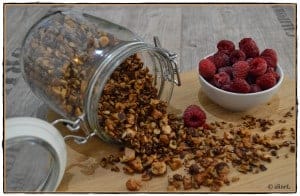 Paleo Low Carb Nuss-M&uuml;sli mit Kakao und Himbeeren in Einmachglas