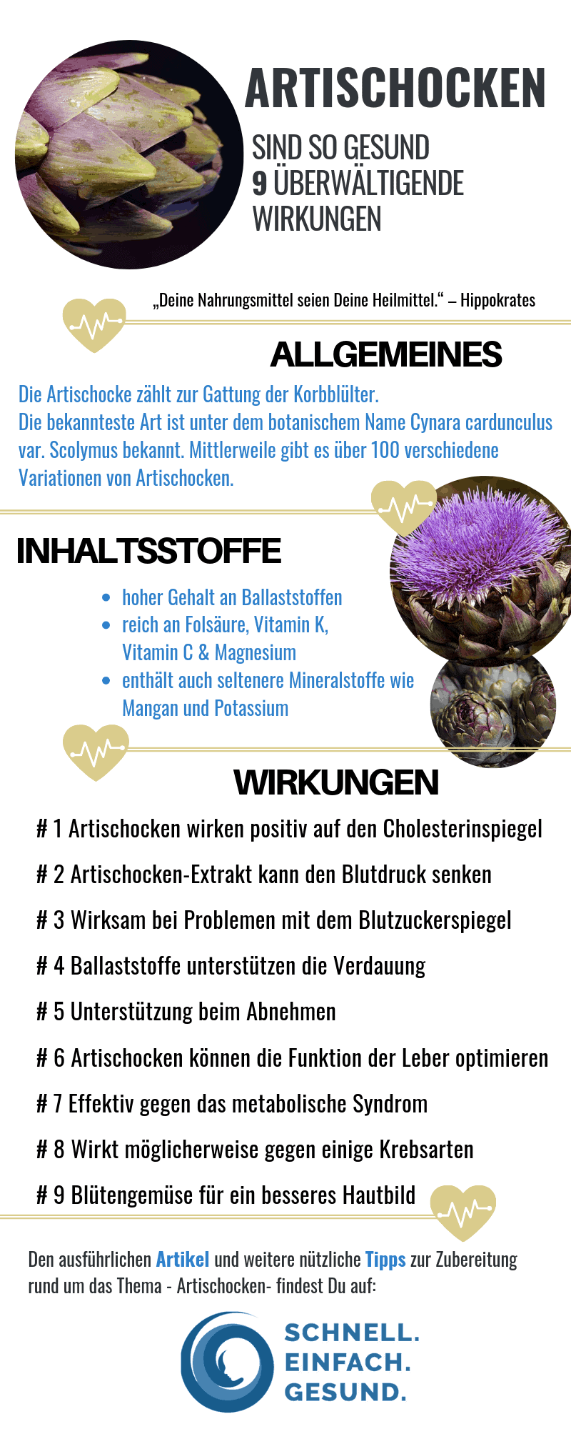 Artischocken Infografik über 9 Gesundheitsvorteile