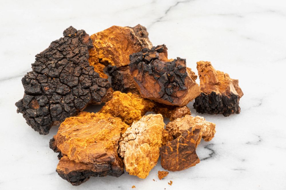 Chaga-Brocken