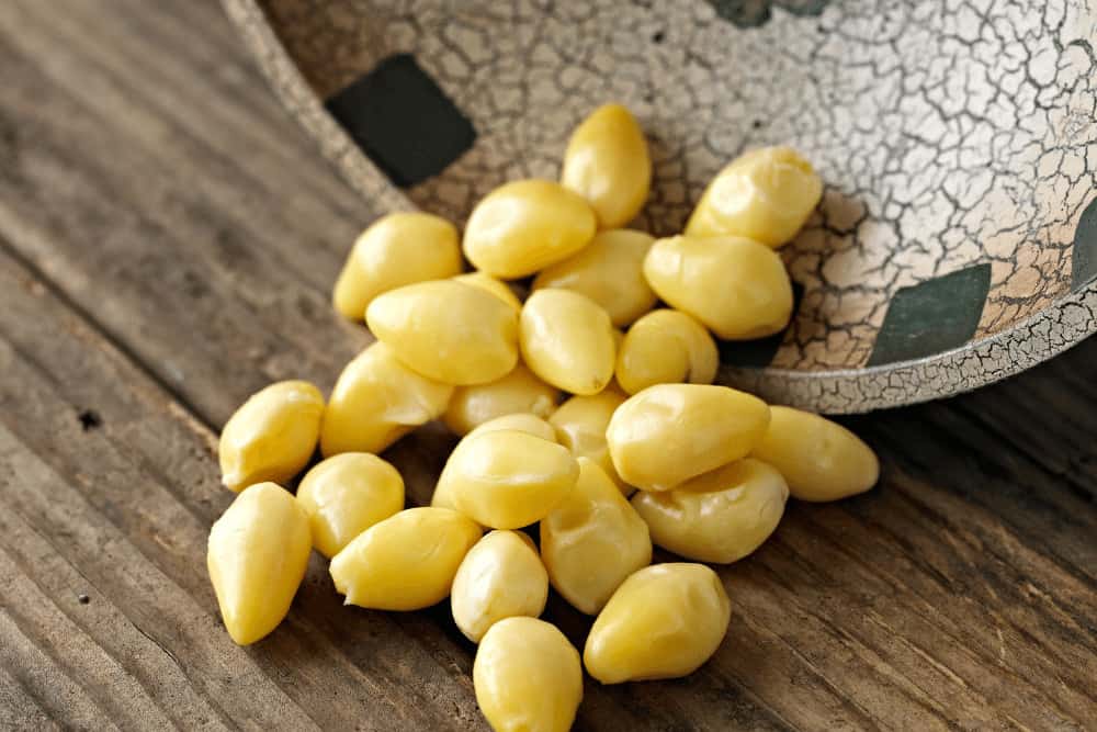 Ginkgo Samen