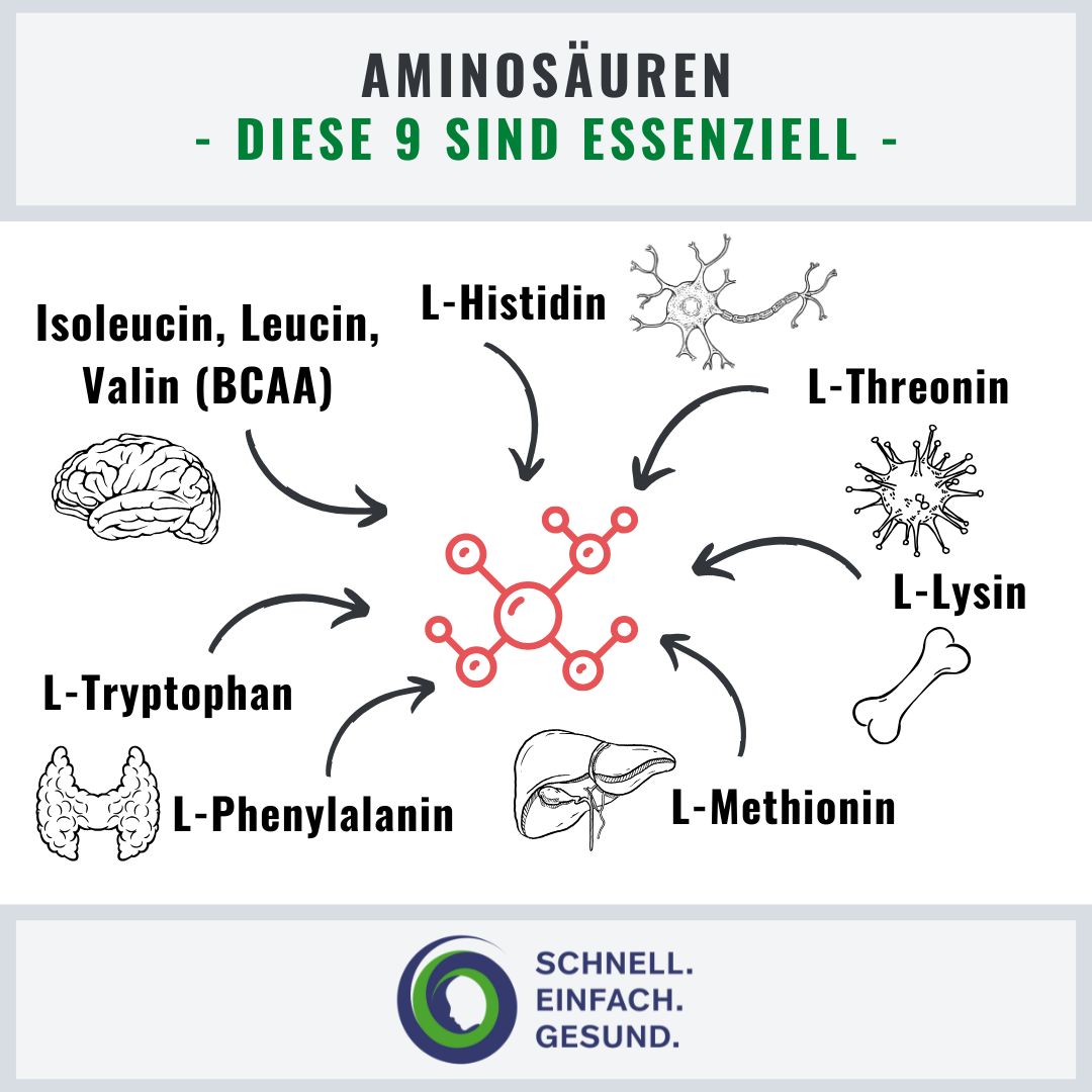 Infographik zu Lebensmitteln mit Magnesium