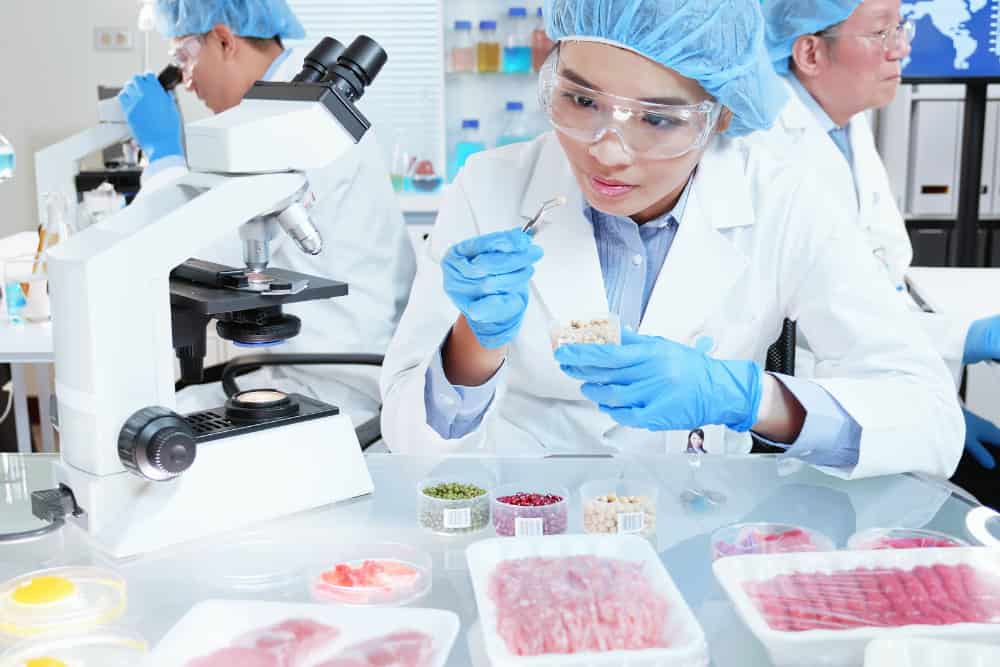 Lebensmittelchemie