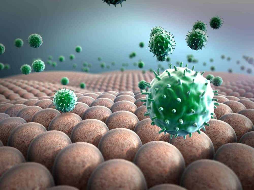 NAC-Biofilm in Nahaufnahme mit gr&uuml;n gestachelten Erregern