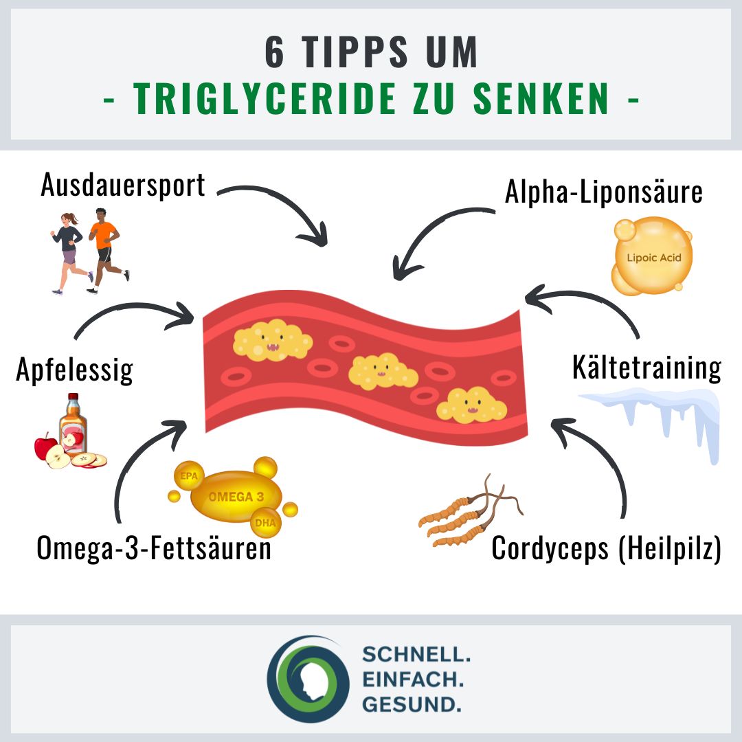 6 Vorteile von Erdung Infographik