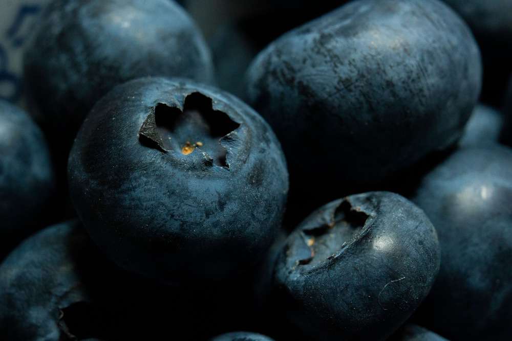 Heidelbeeren