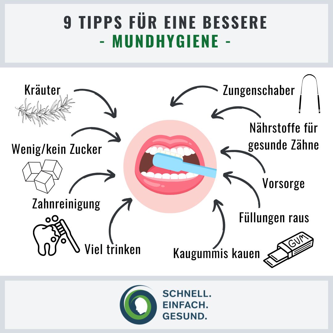 Tipps für eine bessere Mundhygiene Infographik