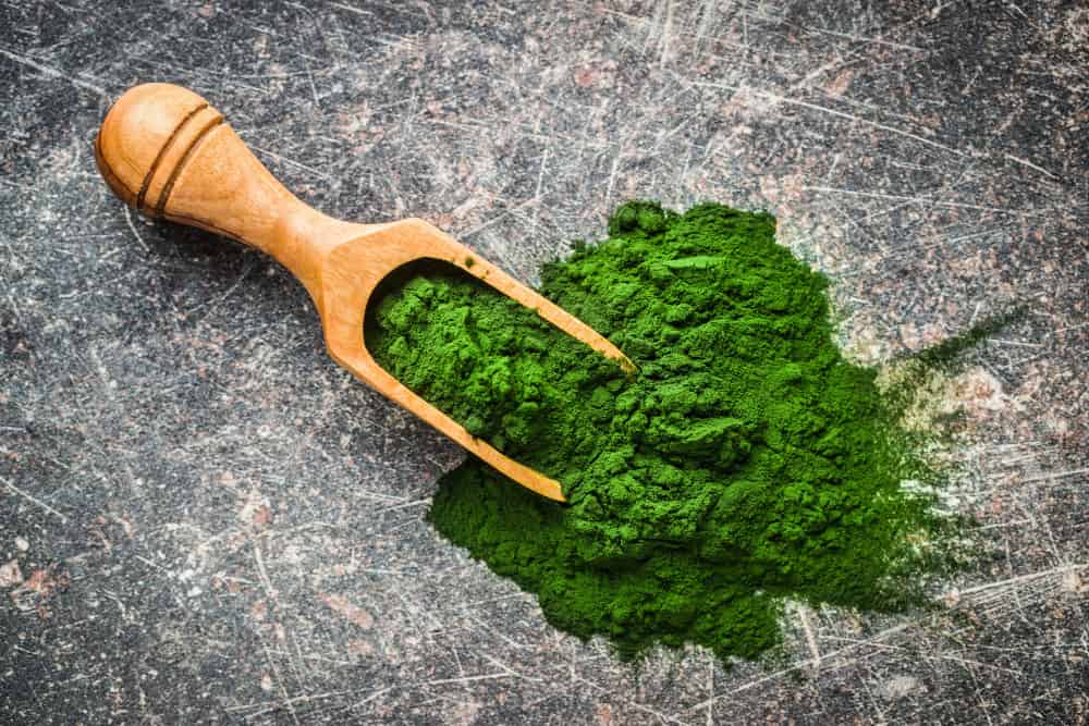 Chlorella Erfahrung