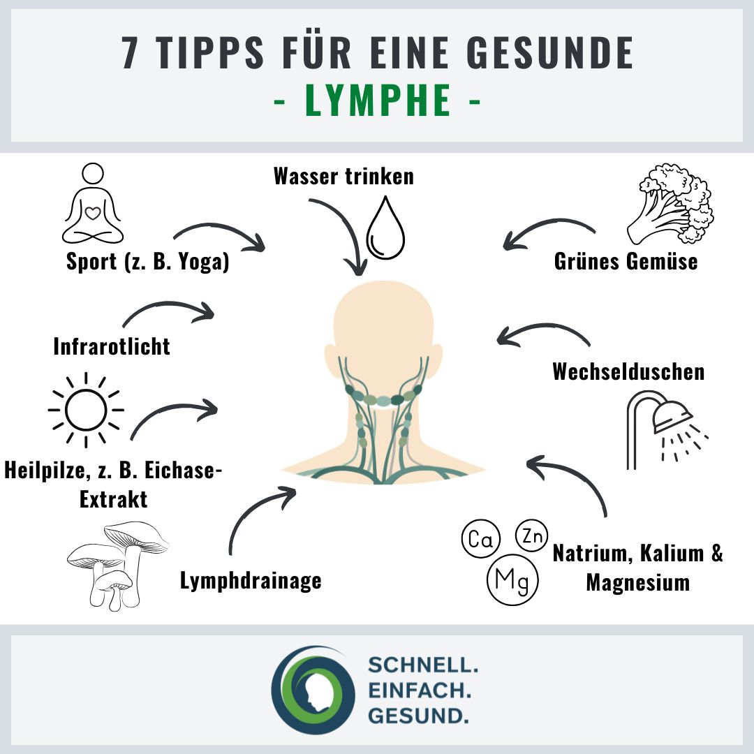 Tipps f&uuml;r eine gesunde Lymphe Infographik